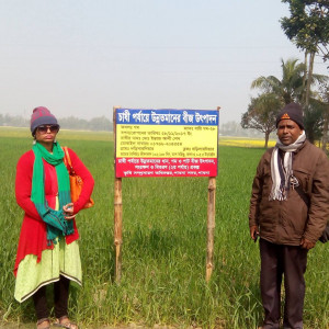 গম প্রদর্শনী